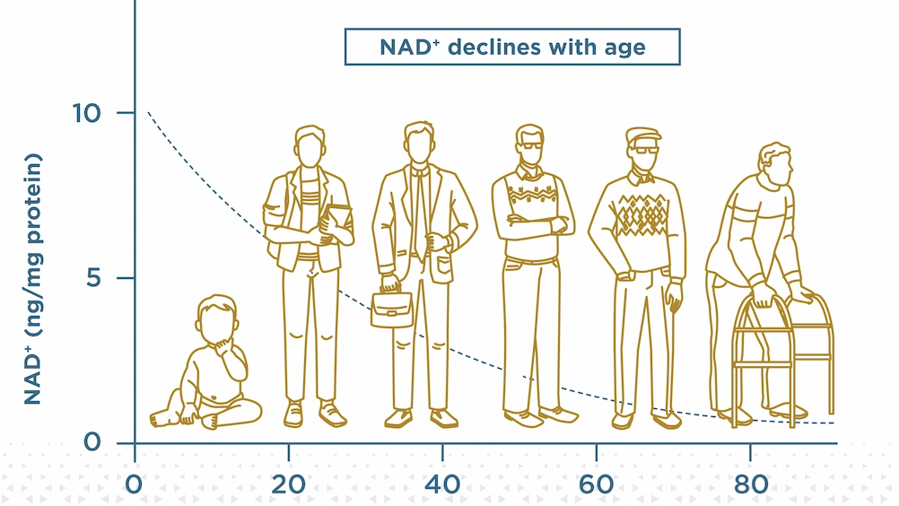 BeNourish NMN - BeNourish